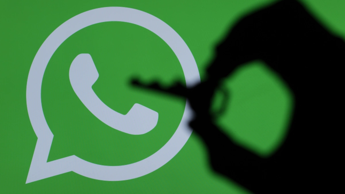 How to classify users on WhatsApp